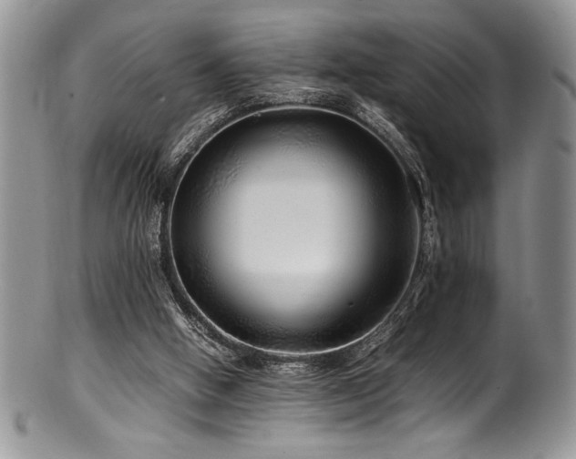 X0000100880058200806201255