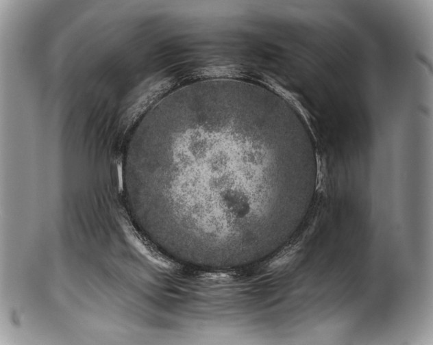 X0000100880061200806201255