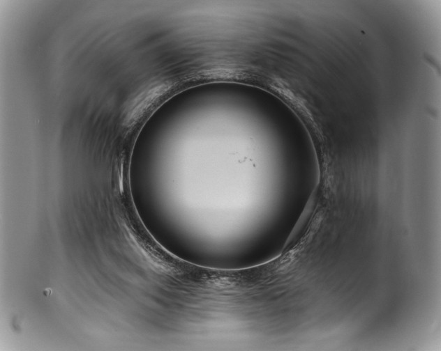 X0000100880062200806201255