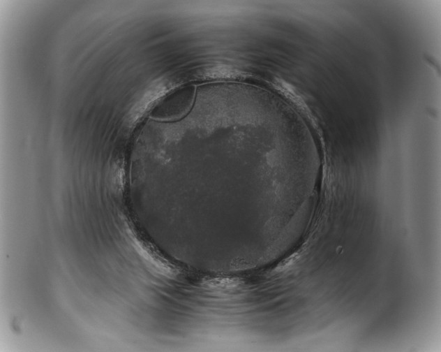 X0000100880063200806201255