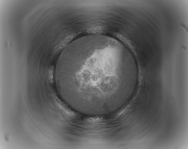 X0000100880065200806201255