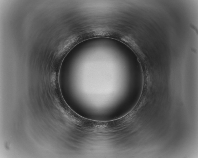 X0000100880066200806201255