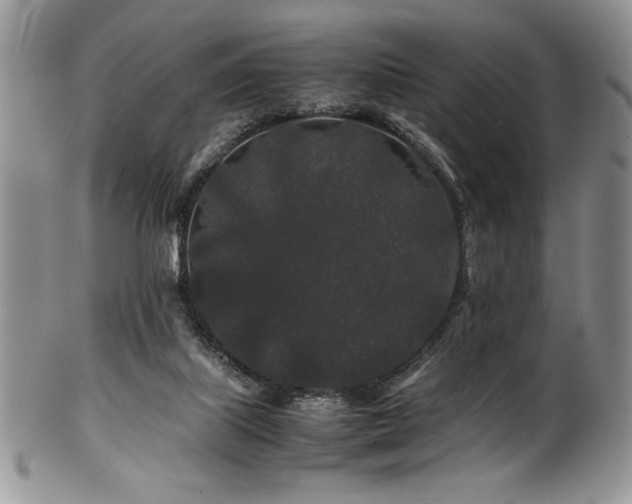 X0000100880067200806201255