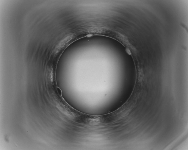 X0000100880068200806201255