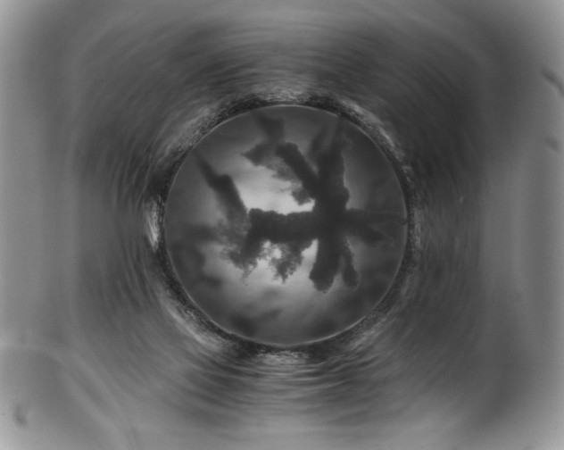 X0000100880069200806201255