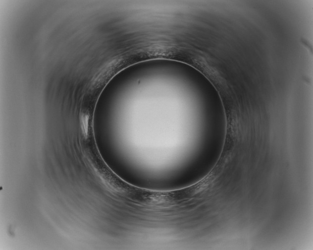 X0000100880070200806201255