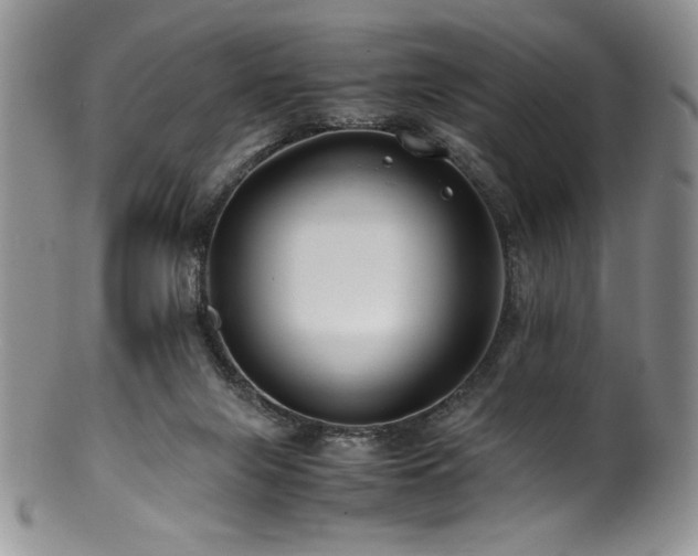 X0000100880071200806201255