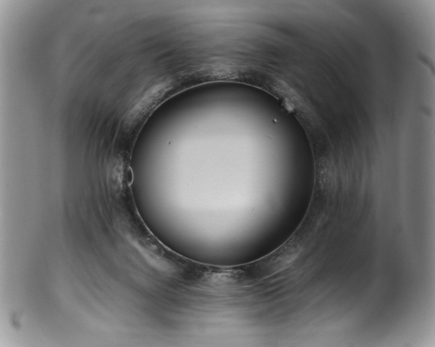 X0000100880072200806201255