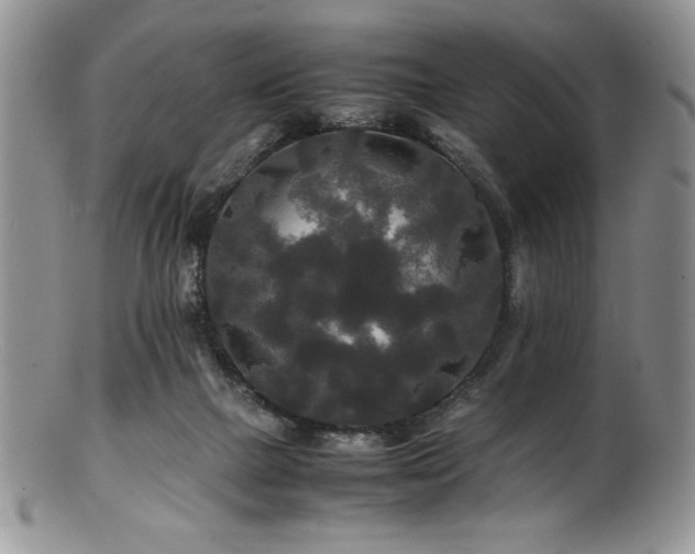 X0000100880073200806201255