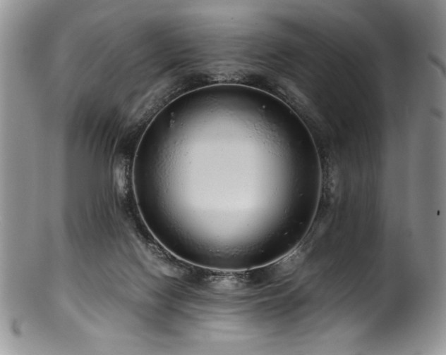 X0000100880074200806201255