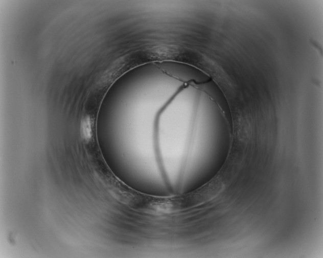 X0000100880075200806201255