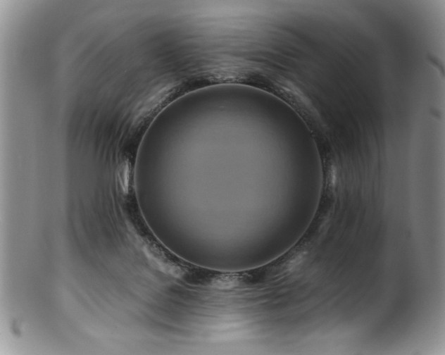 X0000100880076200806201255