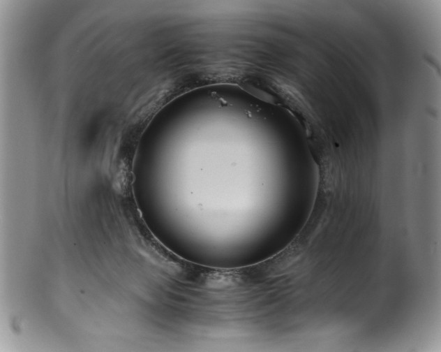 X0000100880077200806201255