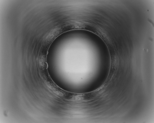 X0000100880078200806201255