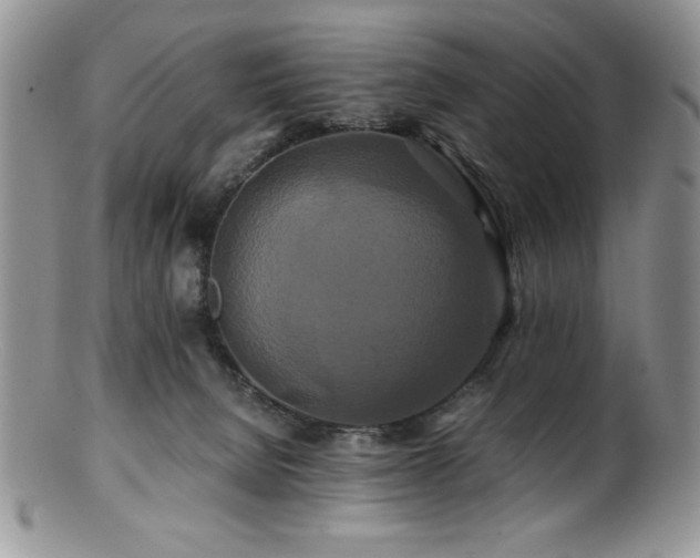 X0000100880080200806201256