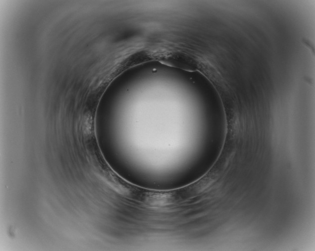 X0000100880081200806201256