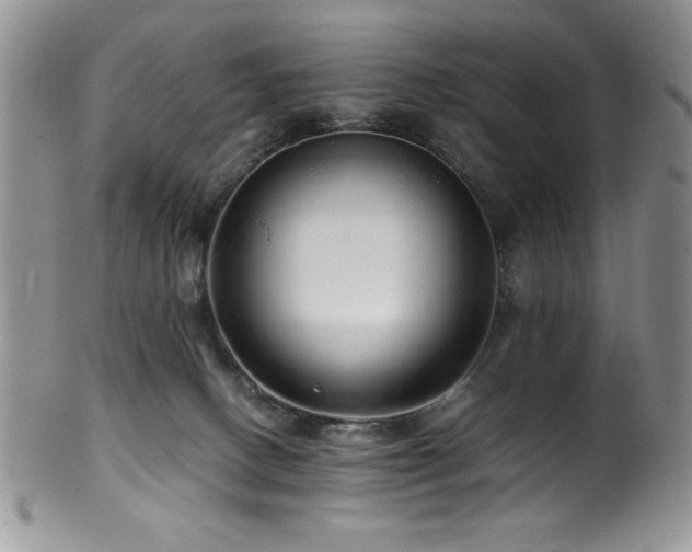 X0000100880082200806201256