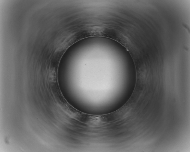 X0000100880083200806201256