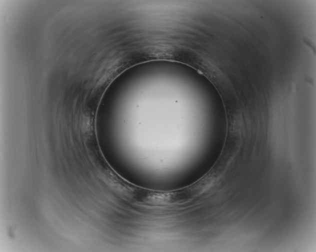 X0000100880084200806201256