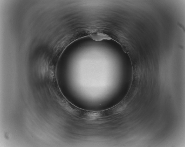 X0000100880085200806201256