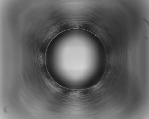 X0000100880086200806201256