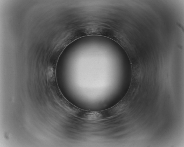 X0000100880087200806201256