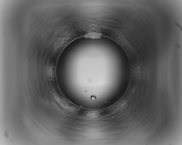 X0000100880088200806201256