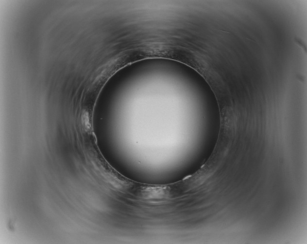 X0000100880089200806201256