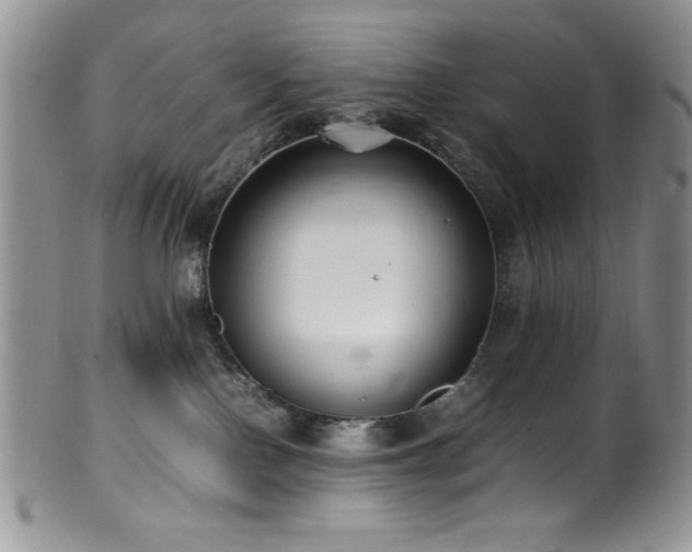 X0000100880090200806201256