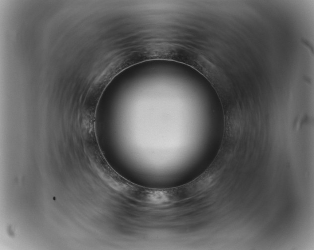 X0000100880091200806201256