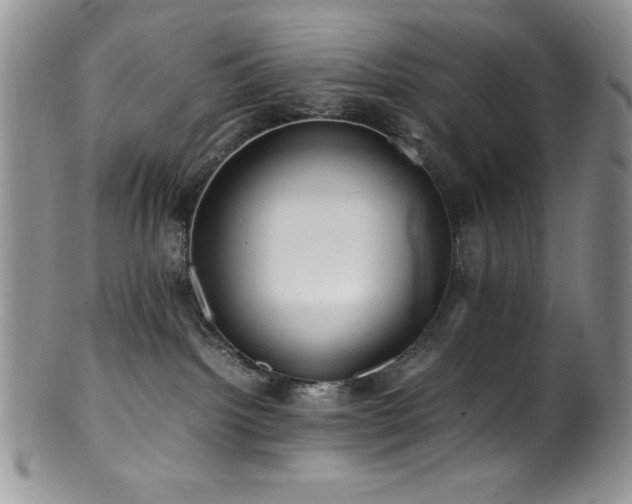 X0000100880092200806201256