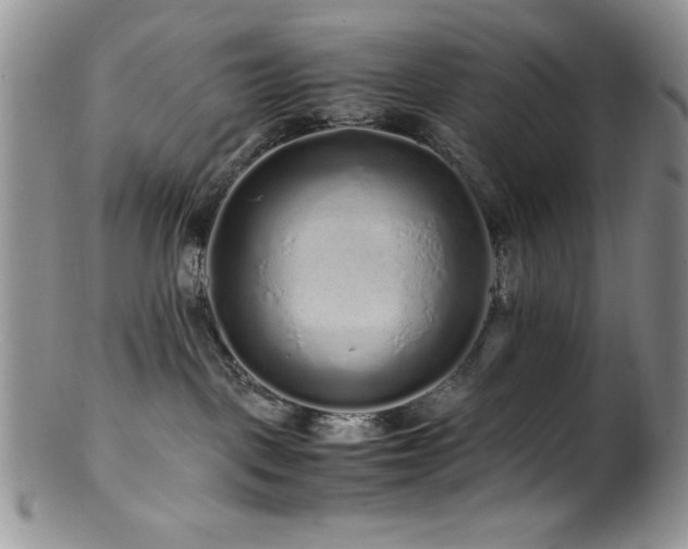 X0000100880093200806201256