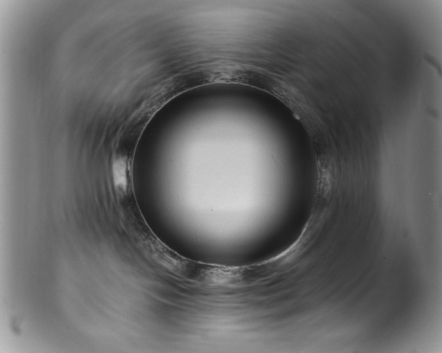 X0000100880094200806201256