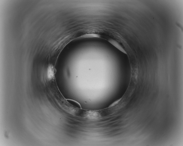 X0000100880095200806201256