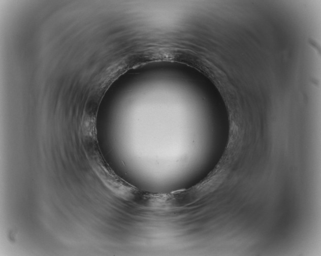 X0000100880096200806201256