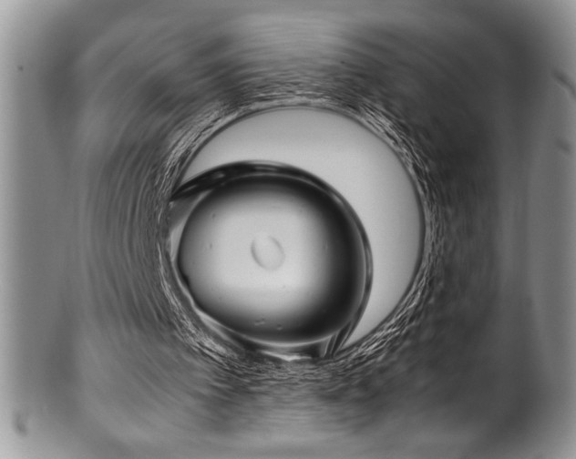 X0000100880097200806201255