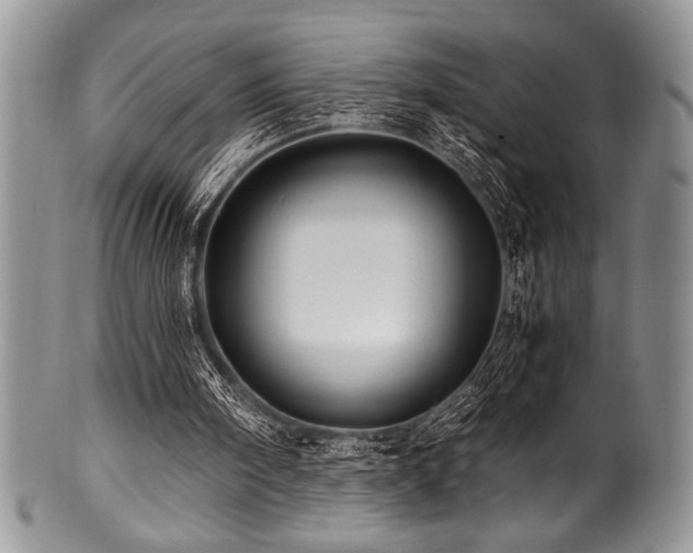 X0000100880098200806201255