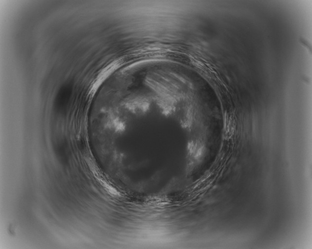 X0000100880099200806201255