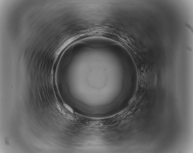 X0000100880100200806201255