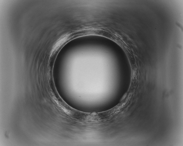 X0000100880101200806201255