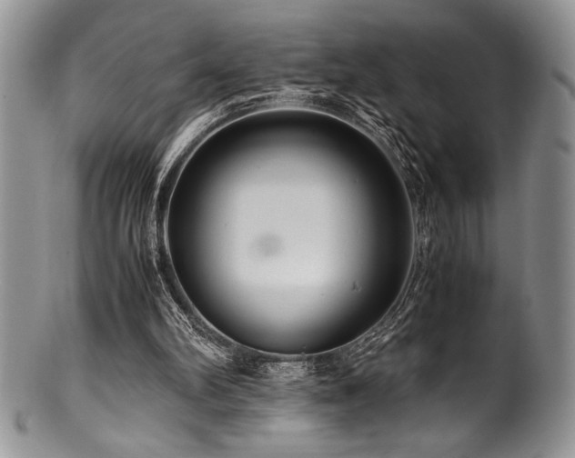 X0000100880102200806201255