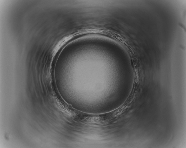 X0000100880104200806201255