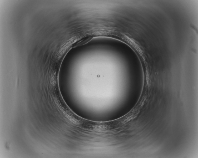 X0000100880105200806201255