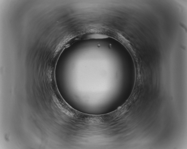 X0000100880106200806201255