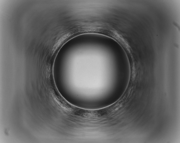 X0000100880107200806201255