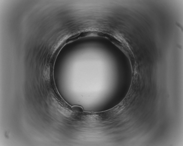 X0000100880108200806201255