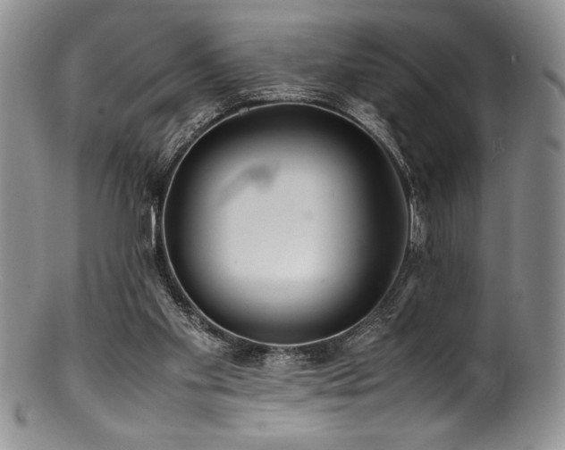 X0000100880109200806201255