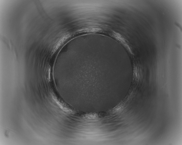 X0000100880110200806201255