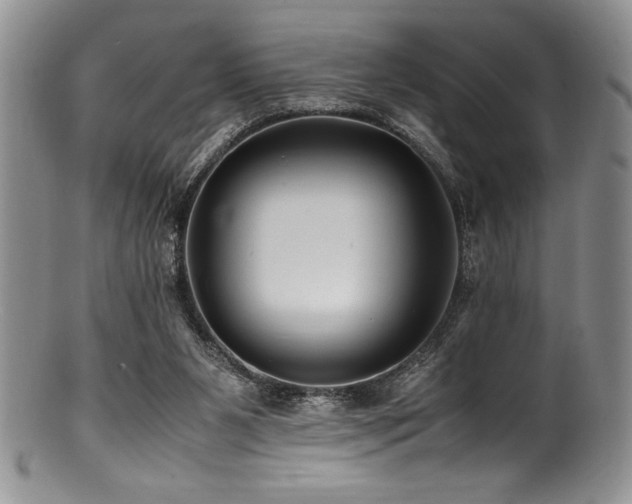 X0000100880111200806201255