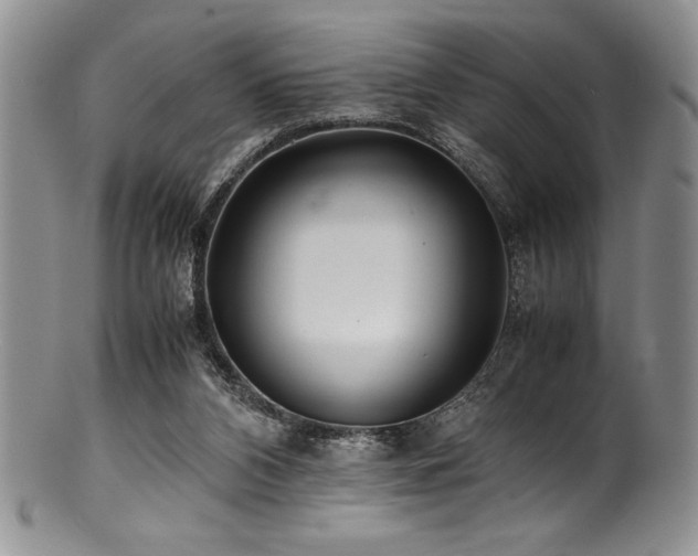 X0000100880112200806201255